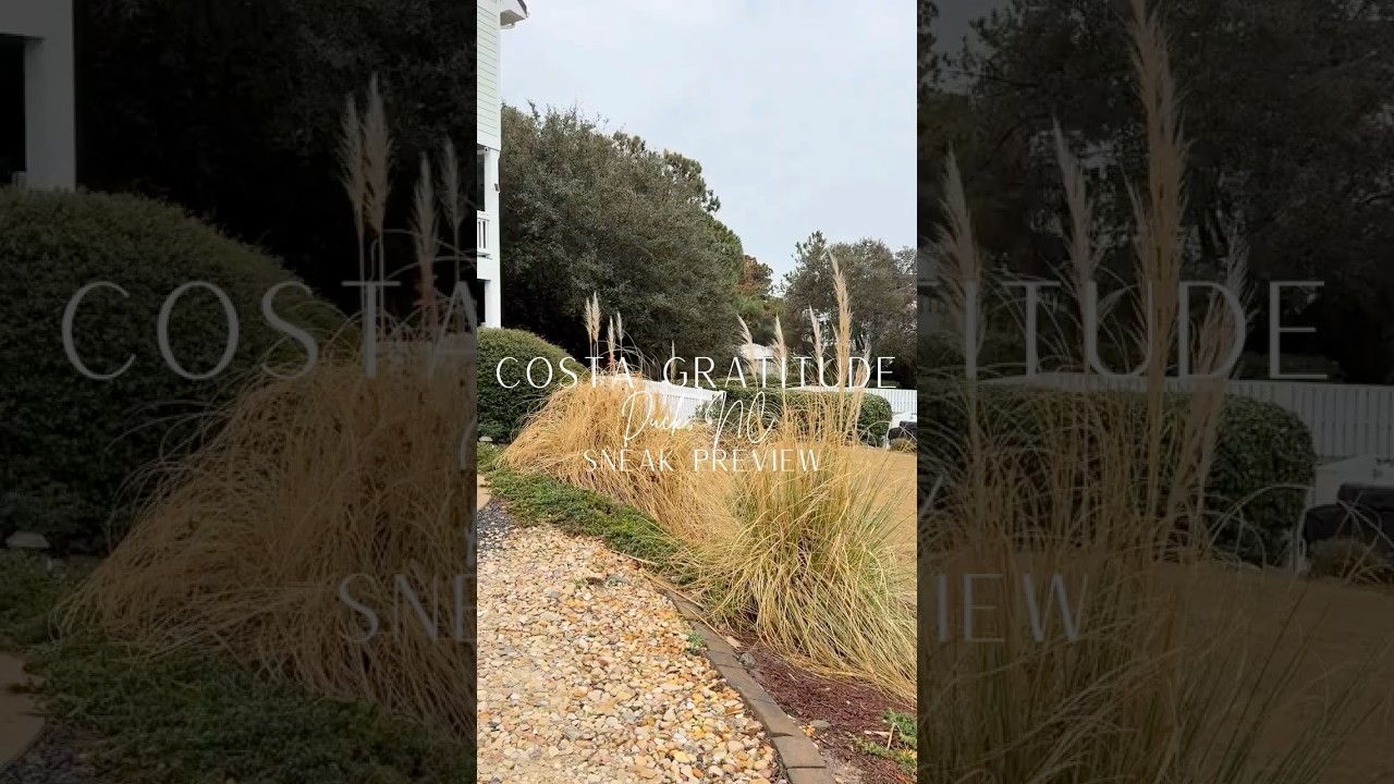 Construction Update! 