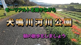 犬鳴川彼岸花    モーツアルトを聞きながら散歩　　4K
