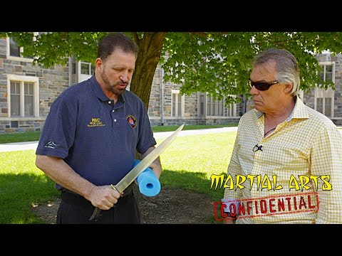 Martial Arts Confidential feat. Bram Frank