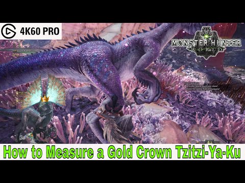 Monster Hunter: World - How to Measure a Gold Crown Tzitzi-Ya-Ku Video