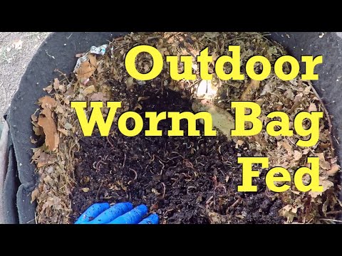Big feeding for worms in outside bag system - farm vermicompost
