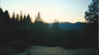 Beth Orton - Feral Children