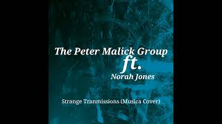 The Peter Malick Group ft. Norah Jones - Strange Transmissions (Musica Cover)
