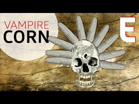 The Dark and Terrible History of Corn — Forklore