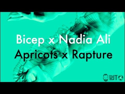 Bicep x Nadia Ali - Apricots x Rapture (DJT Mash Up Mix)