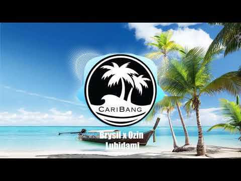 Brysil x Ozin - Lubidami