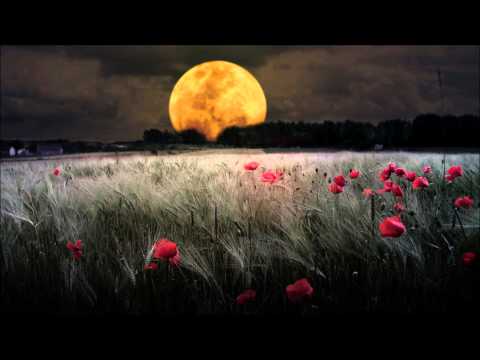 [D&B] Rameses B ft. Veela - Drift Away