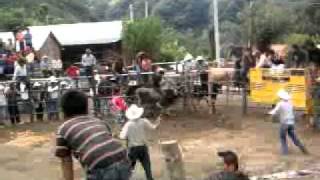 preview picture of video 'jaripeo ranchero nenuco vs toro de reparo'