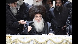 שמחת בית צאנז - קבלת פנים | Sanz Wedding - Kabules Punim