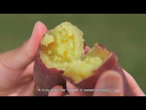 【English】水と緑とひかりのむら西原村2021 英語Ver（西原村PR動画）