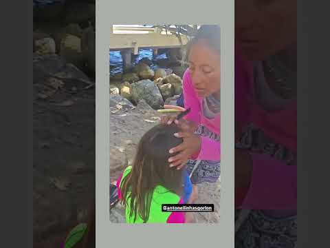 Antonella Aventureira - Fiz tererê no meu cabelo em Bombinhas Santa Catarina #shorts