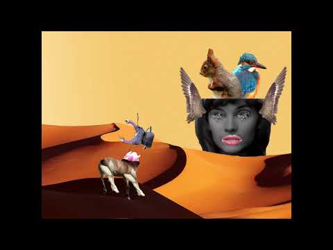 TOM UND DIE TOURISTEN - Vo Vorne und vo hine (Video: Lisa Gertsch)