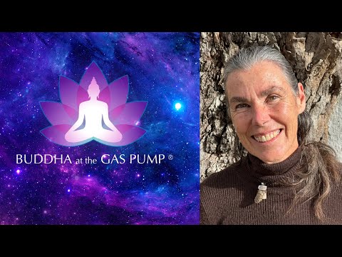 Tree - Buddha at the Gas Pump Interview