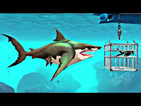 Megalodon Shark Attacks Cage Diver - Hungry Shark World - Maglodon Shark Attack & Gameplay