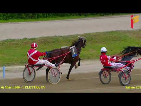 Prova di qualifica del 12 novembre 2022 - 2 Anni - Metri 1600