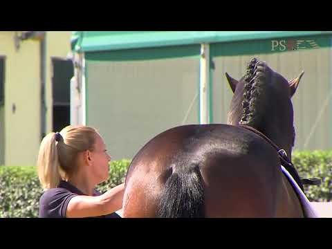 30. Mecklenburger Körtage 2020 - Kat. Nr. 44 Junghengst v. Vivaldi - Diamond Hit