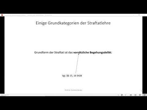 Strafrecht GK I - Einheit 4