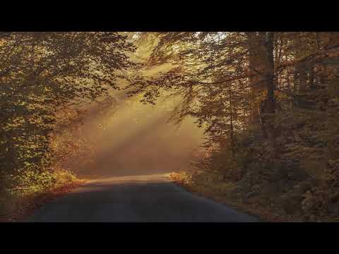 Cu Isus în lumea aceasta - Iosif Câmpean  LIVE