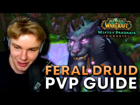 MoP Classic Feral PvP Guide | Talents/Rotation/Glyphs and More!