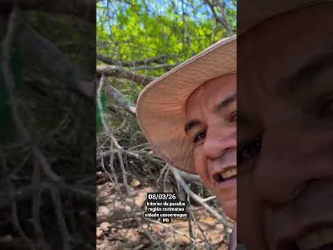 sítio campestre município de casserengue PB