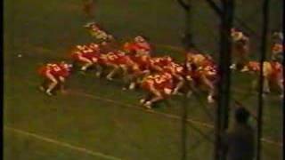 preview picture of video '1989 Nelsonville-York Gamewinner'