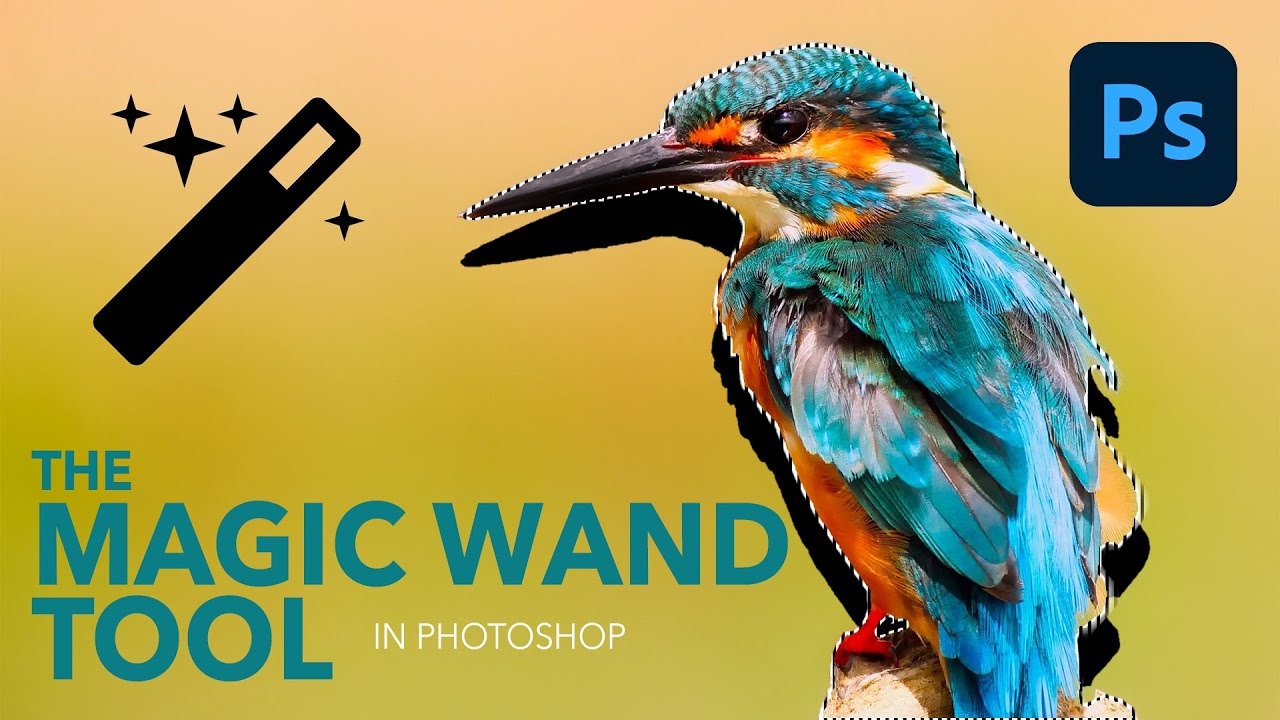 How To Use The Magic Wand Tool In Photoshop - A Complete Guide