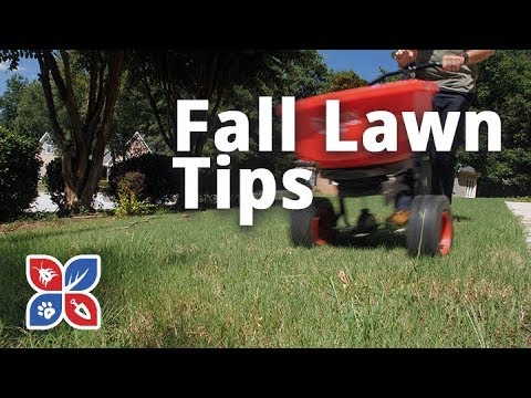  Do My Own Lawn Care - Fall Lawn Tip  Video 