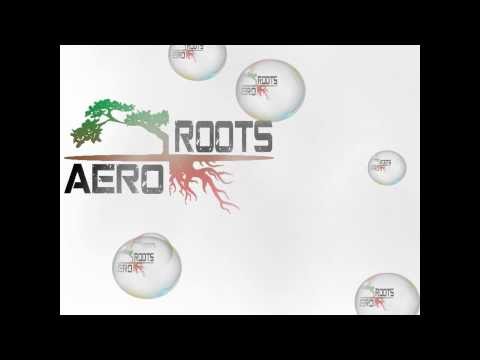 Aeroroots remix : Capleton, Sizzla, Richie Spice, Cocoa Tea... DUB TUNE AeroRIDDIM