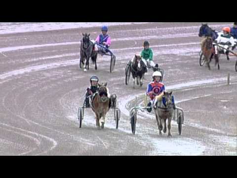 Victoria Park Wolvega 14-9-2013 MINI DRAVERIJ RED LADY - F. Verkaik