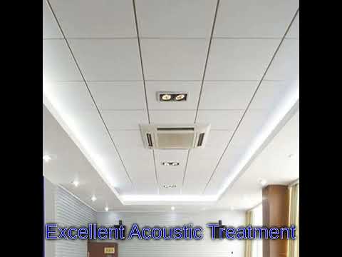 Mineral Fiber Ceilings Services