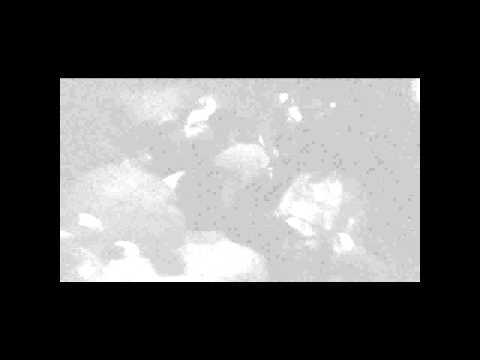 Burial - Lambeth (Live via Kode9)