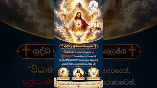 Download lagu ශු.ත්‍රීත්වයේ මංගල්‍යය අදයි@DivineMaryLightSL #divinemarylight #rashantharakafernando mp3