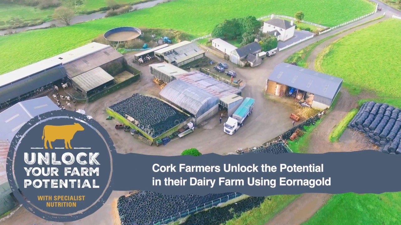 Cork Farmers Increase Milk Output of Their Holstein Friesian Herd