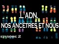 2 - L'ADN, nos ancêtres et nous