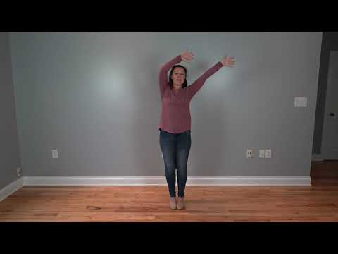 Dancer And Prancer - Kids choreography video