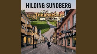 Från Tunabackar ner på stan