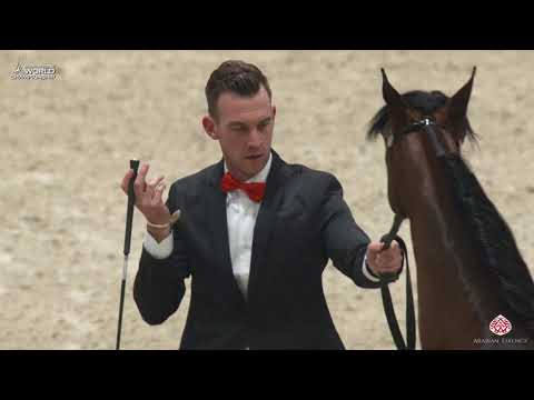 N 92 ELR FERDINAND   Paris 2019   Yearling Colts Class 4A