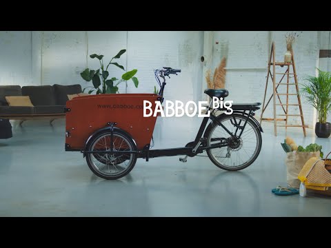 Babboe Big - robustes Kindertransport Fahrrad