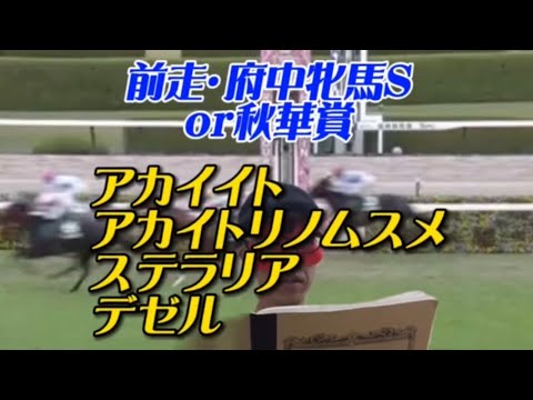 第46回エリザベス女王杯（2021.11.14 阪神競馬場）三心占い🐎