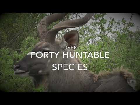 Tootabi Valley Safaris Intro Loop