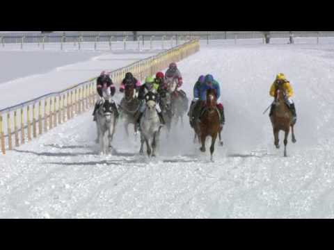 STM/12.02.2017/H H Sheikh Zayed Al Nahyan