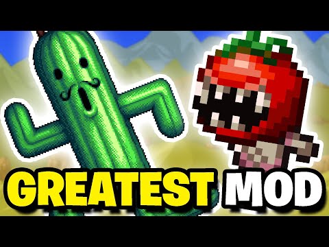 Why this is the BEST Terraria Mod EVER...