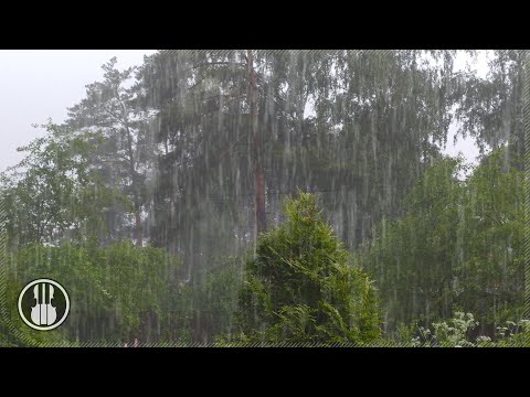 Regnerische Landschaft ⛈ Regengeräusche mit Donner für Schlaflosigkeit und Schlaf. 10 Stunden ASMR