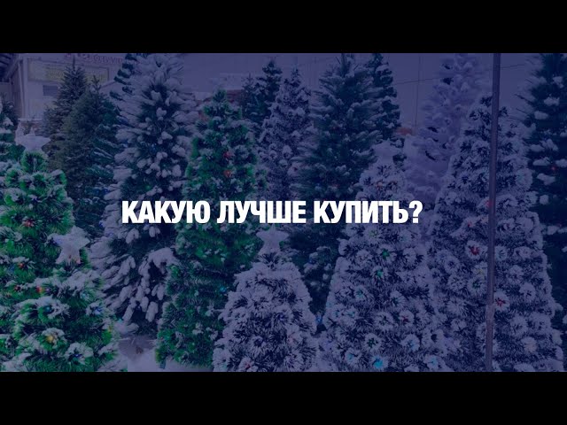 Ёлка: искусственная vs настоящая?