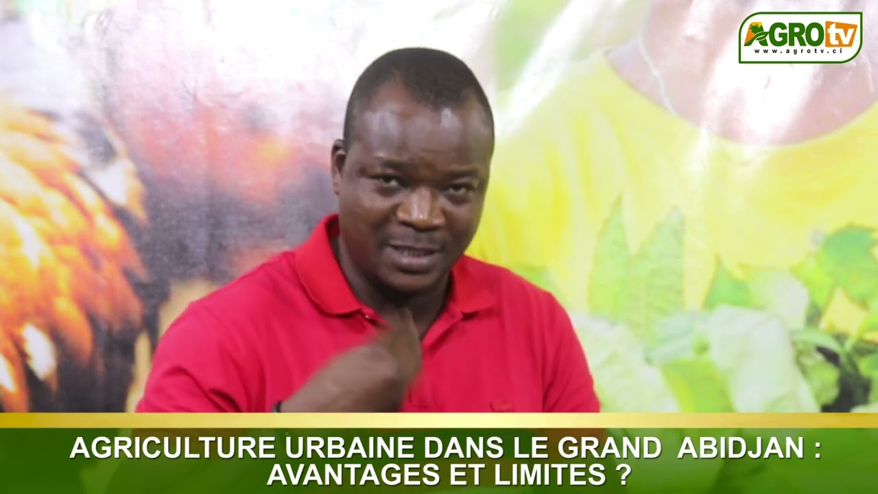 Dr OUATTARA zana:  AGRICULTURE URBAINE DANS LE GRAND  ABIDJAN : AVANTAGES ET LIMITES ?