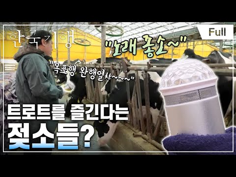[Full] 한국기행 - 인생, 트로트처럼 2부 트로트가 좋소