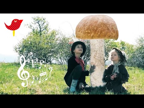 Pesnička Pod hríbom - Pesničky Líšky a Vlka