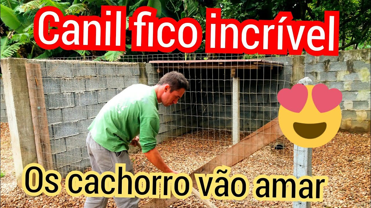 como fazer canil pros cachorro essa moda vai viralizar