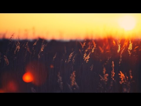 Inaze x Rover - Nie Martw Się (Łukasz Blend)