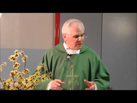 Messa Don Franco - Tradate - 2016-02-07 - La Santa Messa completa